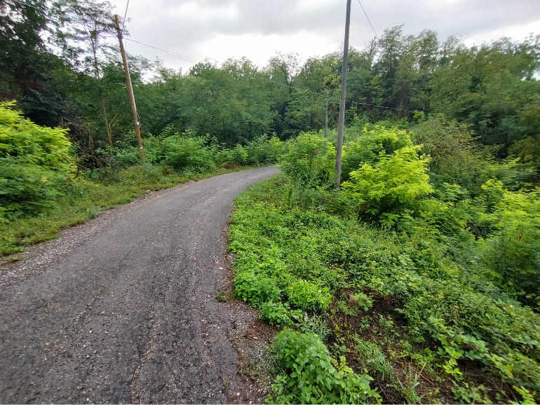 Ripristino strada con ingnegneria naturalistica Traversetolo Parma 1