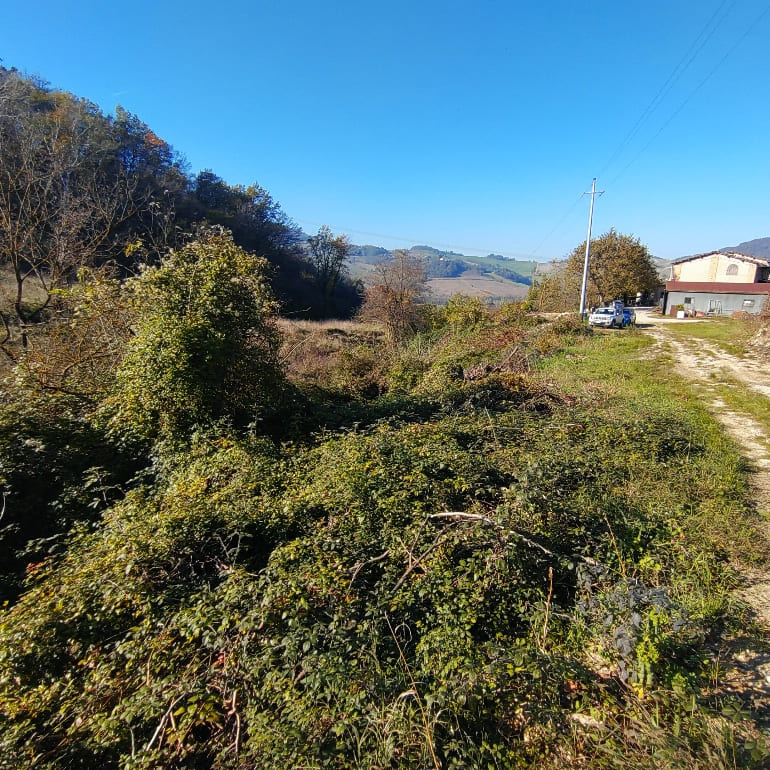 Difesa Spondale fraz. di Marzolara 1